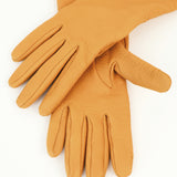 Classic Gloves in Naples Yellow Deerskin - CLYDE