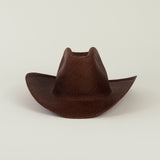 Cowboy Hat in Earth - CLYDE