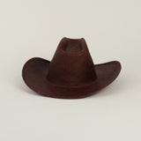 Cowboy Hat in Earth - CLYDE