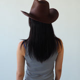 Cowboy Hat in Earth - CLYDE